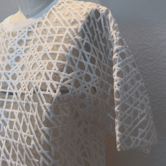 (SOLD) NEW 3.1 Phillip Lim Sheer Top - Picture 4 of 10